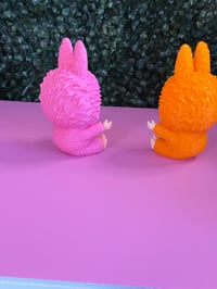 Image 3 of Crazy Pet