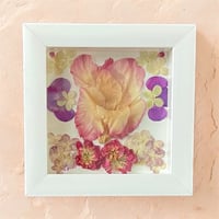 Image 5 of Gladiolus, Hydrangea, Stock Flower & Geranium in 6" X 6" Shadow Box (Item# 202401S)