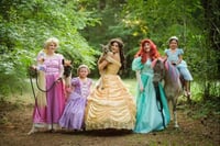 Image 1 of Princess, unicorn tea party, meet and greet with princesses, snow fall, unicorn rides. 