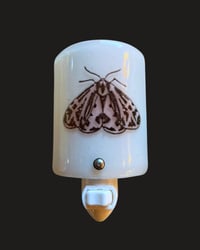 Mary Anne Carter - "Mothlight”