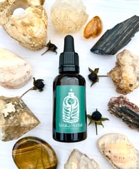 ELIXIR ANTIINFLAMATORIO 