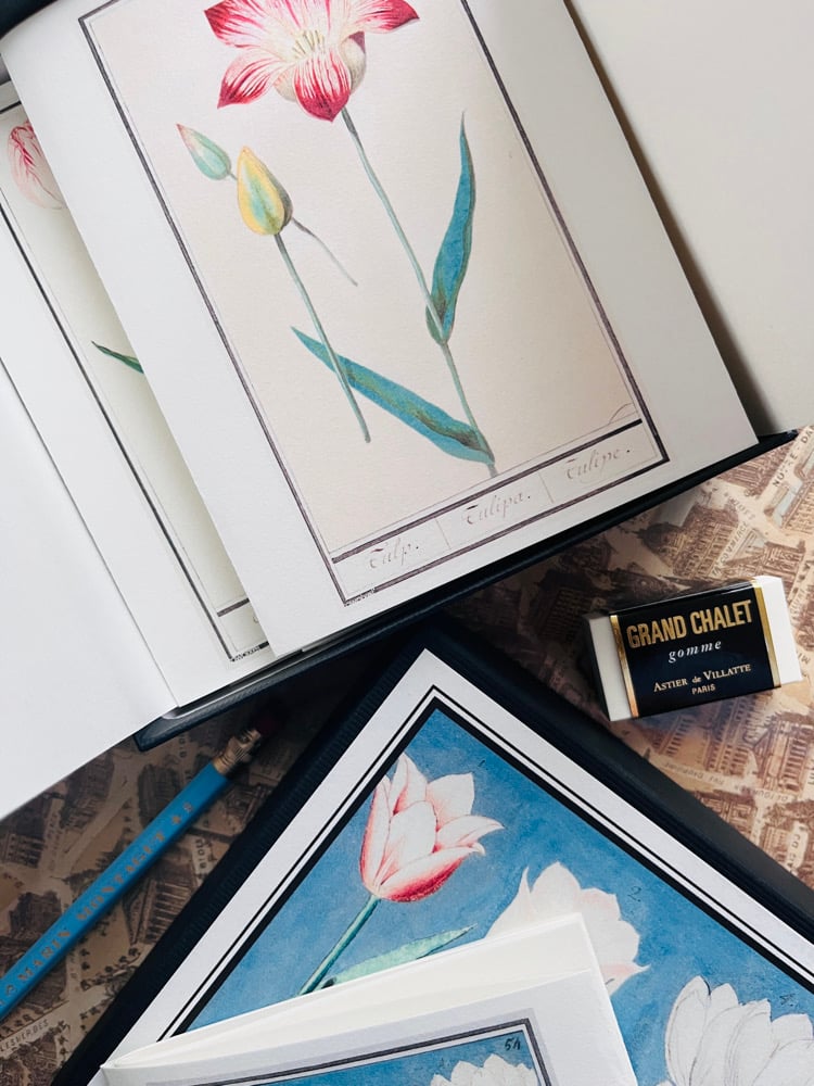 Image of CFT TULIPES