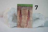 Image 4 of Worm Earrings