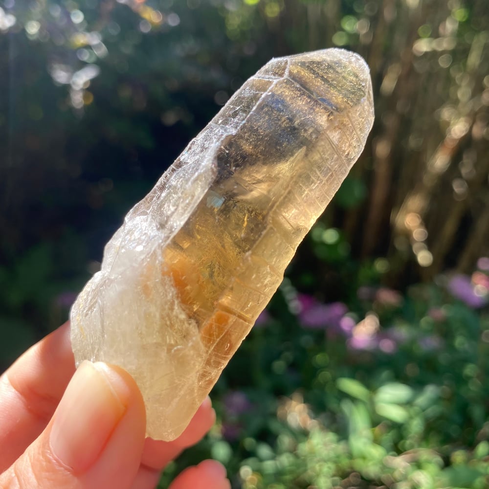 Image of Raw Natural Citrine