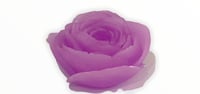 Image 2 of Brian Baca Pro Model Rose Wax