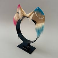 Image 2 of HarleyQuinn Kitten