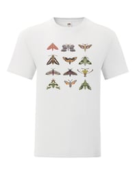 Image 1 of 12 Hawk-moth Collage T-shirt
