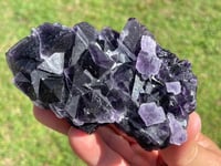 Image 1 of Purple Cubic Fluorite Specimen #1614