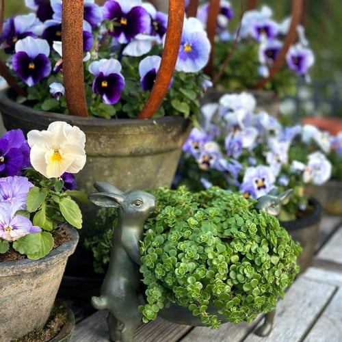 Image of Rabbit Pot Holder 