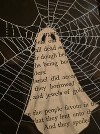 Image 2 of 1800’s biblical Ghost with preserved spider web - ornate black frame