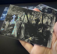 Image 2 of Sticker ❈ Dead Flowers [7x10cm]