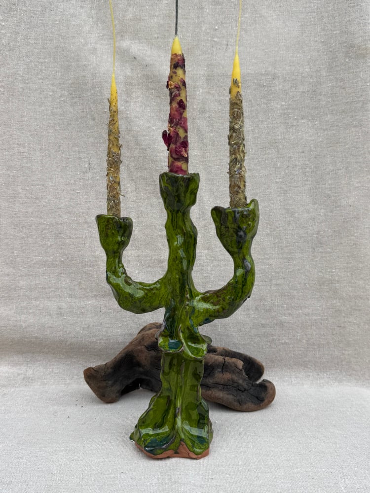 Image of Candelabro Triflor