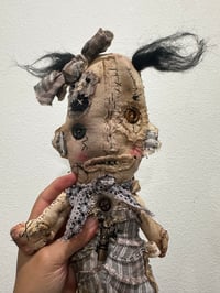 Image 3 of Donna Dolly