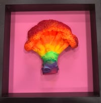 Pride 1 Large Broccoli 