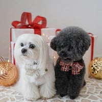 CHRISTMAS TWEED BOW - SNOW