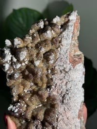 Image 3 of XL SUGARY DOG TOOTH CALCITE -MEXICO- B