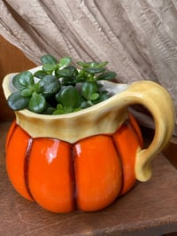 Image 1 of Jade Plant in Large Pumpkin Pitcher