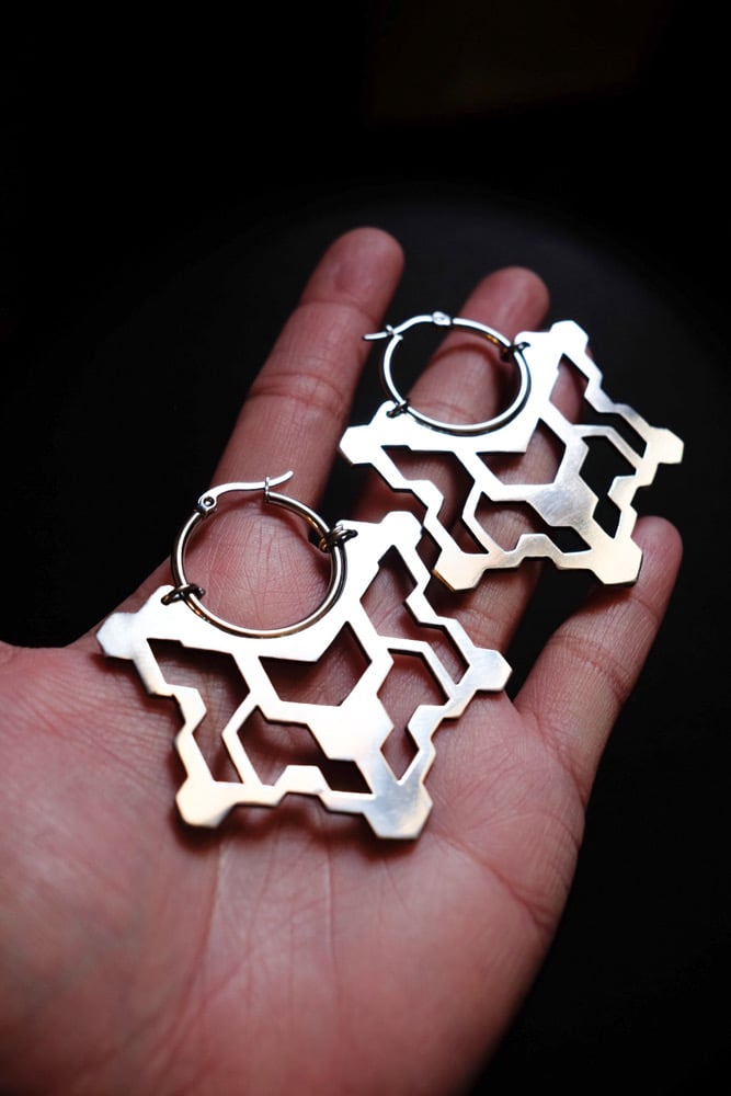 Image of Jali earrings
