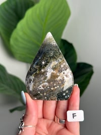 Image 6 of CHOOSE YOUR OWN SEA JASPER FLAME -MADAGASCAR-
