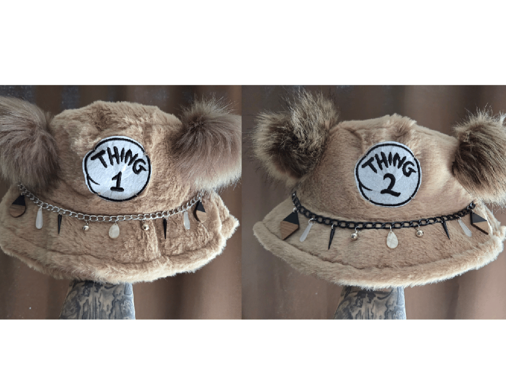 Image of Thing 1&2
