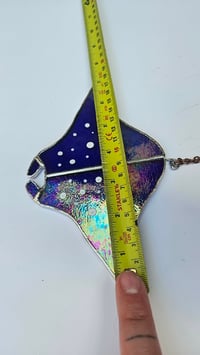 Image 3 of Sting ray 1