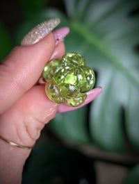 Image 6 of Mini Succulent Collection 