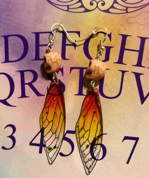 Image of  Skull Dragonfly Wing Earrings