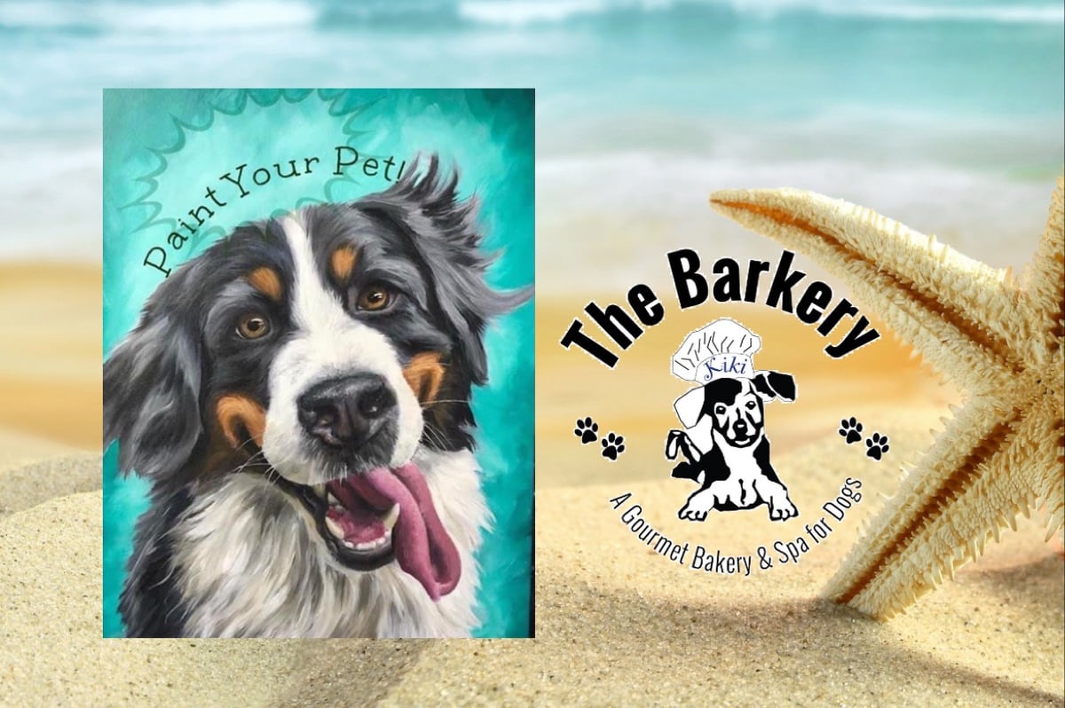 Image of Paint Your Pet Paint Party 7/23 The Barkery Tewksbury, MA