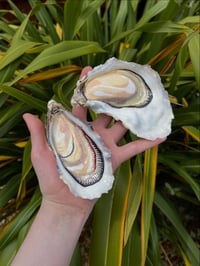 Image 2 of Hand Painted Oyster