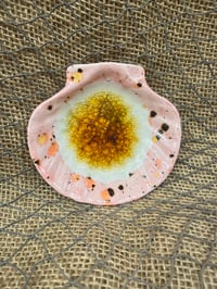 Image 1 of Clam Shell