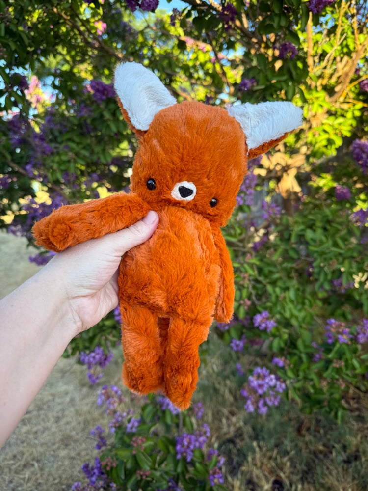Image of Orange fox