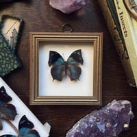 Image 1 of Memphis Butterfly Frame