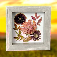 Image 1 of Zinnia, Indian Blanket And Obsession Nandina Wildflower Art In 6" X 6" Shadow Box (Item# 202203S)