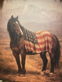 Image 2 of #1...... He Stayed ~ 16x 20 Canvas Wrap ~