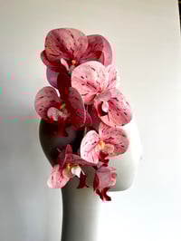 Image 3 of Pink orchids #2