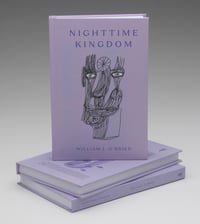 Image 1 of Nighttime Kingdom Hard Cover Book now available!