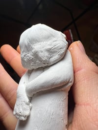 Image 2 of Plaster diprosopus kitten 