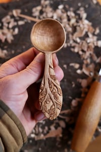 Image 7 of  Oak Tree Coffee Scoop 