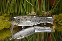 Finesse Floater 2pc - Rainbow 🌈