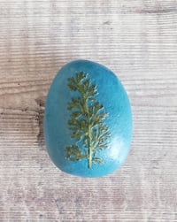 Image 3 of Wildflower Pebbles 