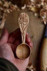 Image 6 of Oak and Acorn  Coffee Scoop 