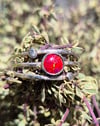 Flame Opal Adjustable Ring 