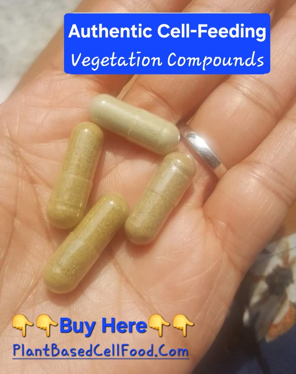 MAYA ELECTRIC CELL FOOD. Energy. Hemoglobin. Purifier. Calcium. Oxygen. Sickle Cell.