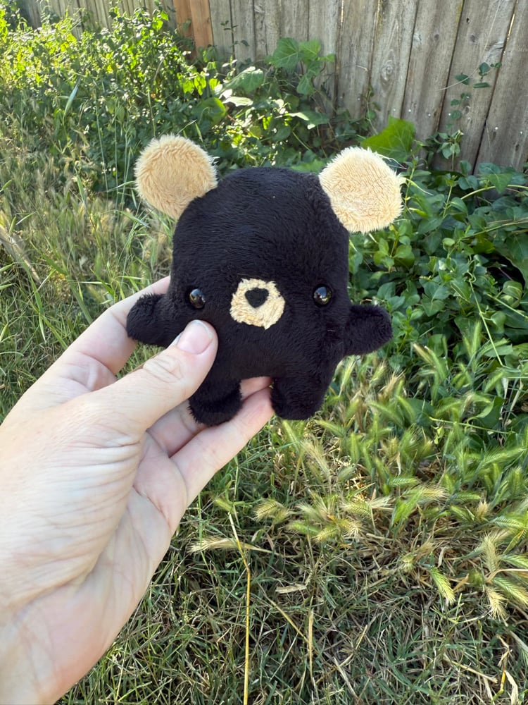 Image of beanie bear