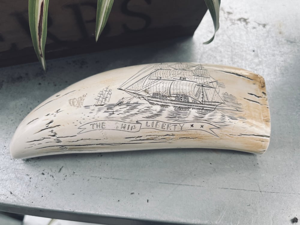 Image of Replica Scrimshaw