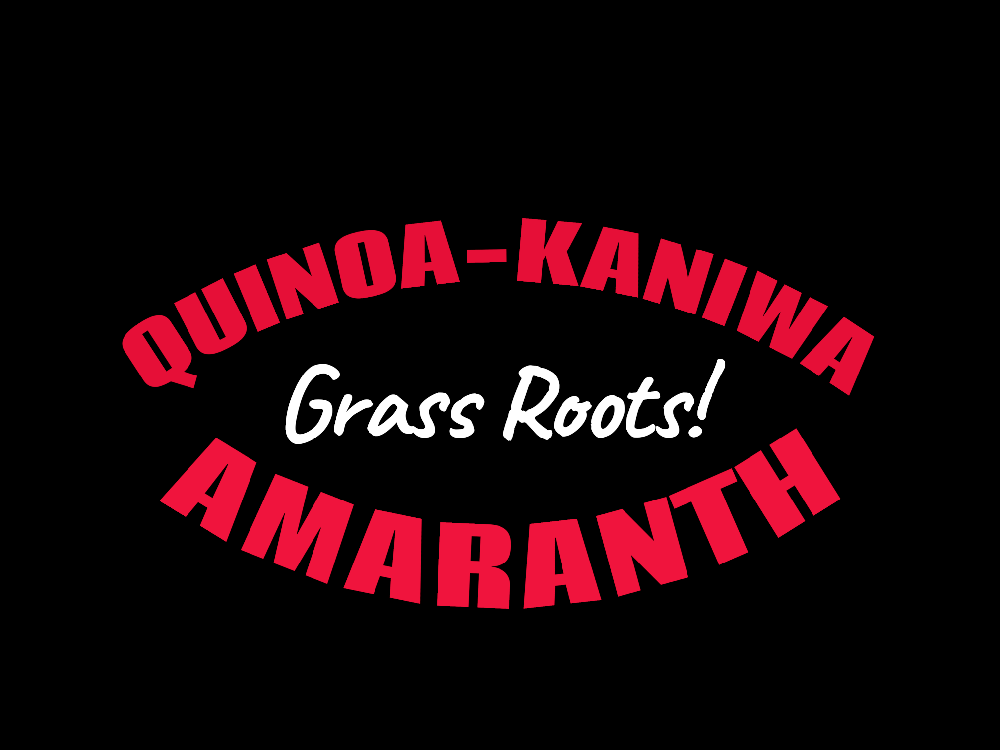 QUINOA-KANIWA-AMARANTH. Diabetes-Cholesterol-Muscle-Quercetin-Bone-Toxins-Anemia