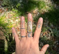 Image 3 of Fossilized palm ring 