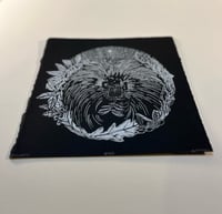 Image 5 of Porcupine & Blueberries