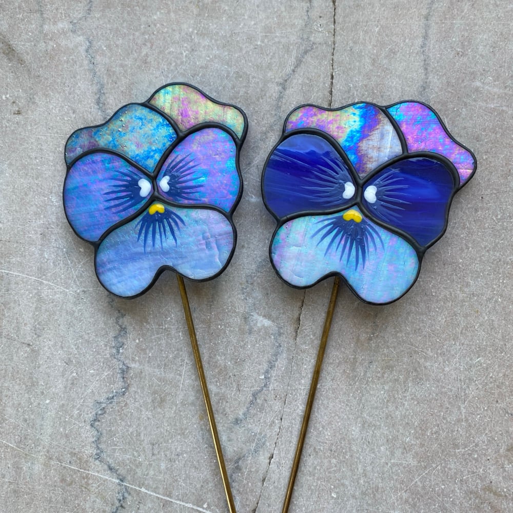 Image of Blue Pansies