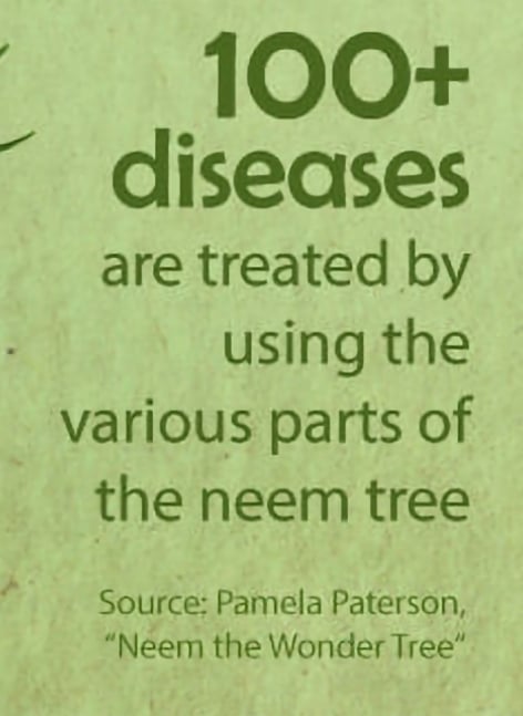 NEEMLY YOURS! Powder/Leaves/Teabags. Diabetes-Fungi-Viruses-Parasites-Allergies-Infections.